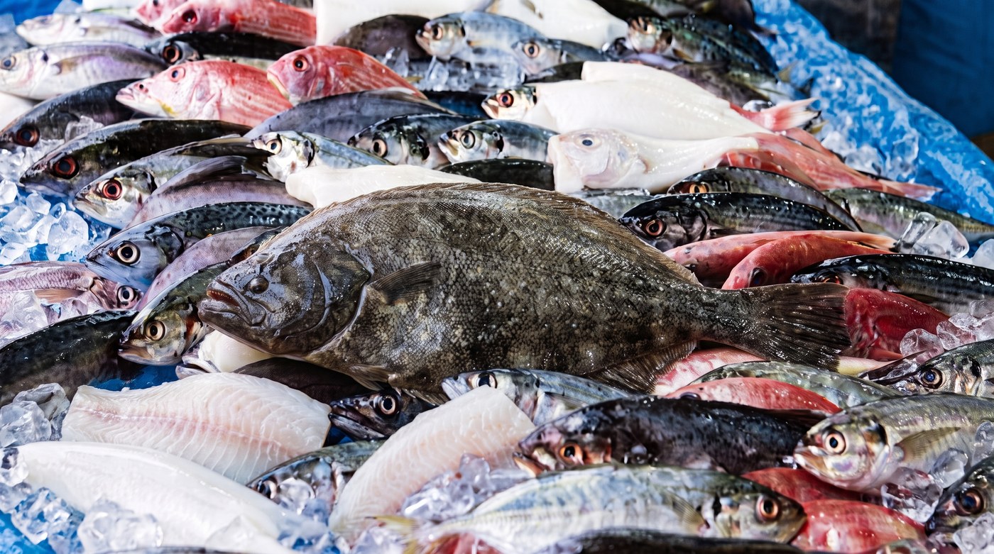Ikan Segar dan Makanan Laut DSS Green Venture